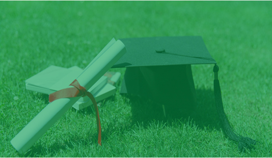 ��ѵ������